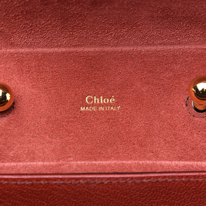 Chloe Calfskin Lizard Embossed Small Aby Lock Sepia Brown 5 of 7