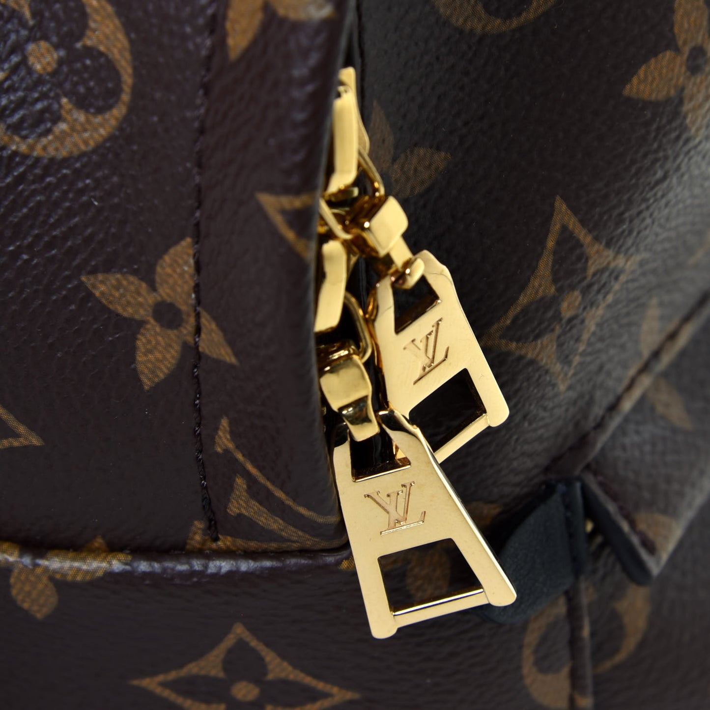 Monogram Palm Springs Backpack PM