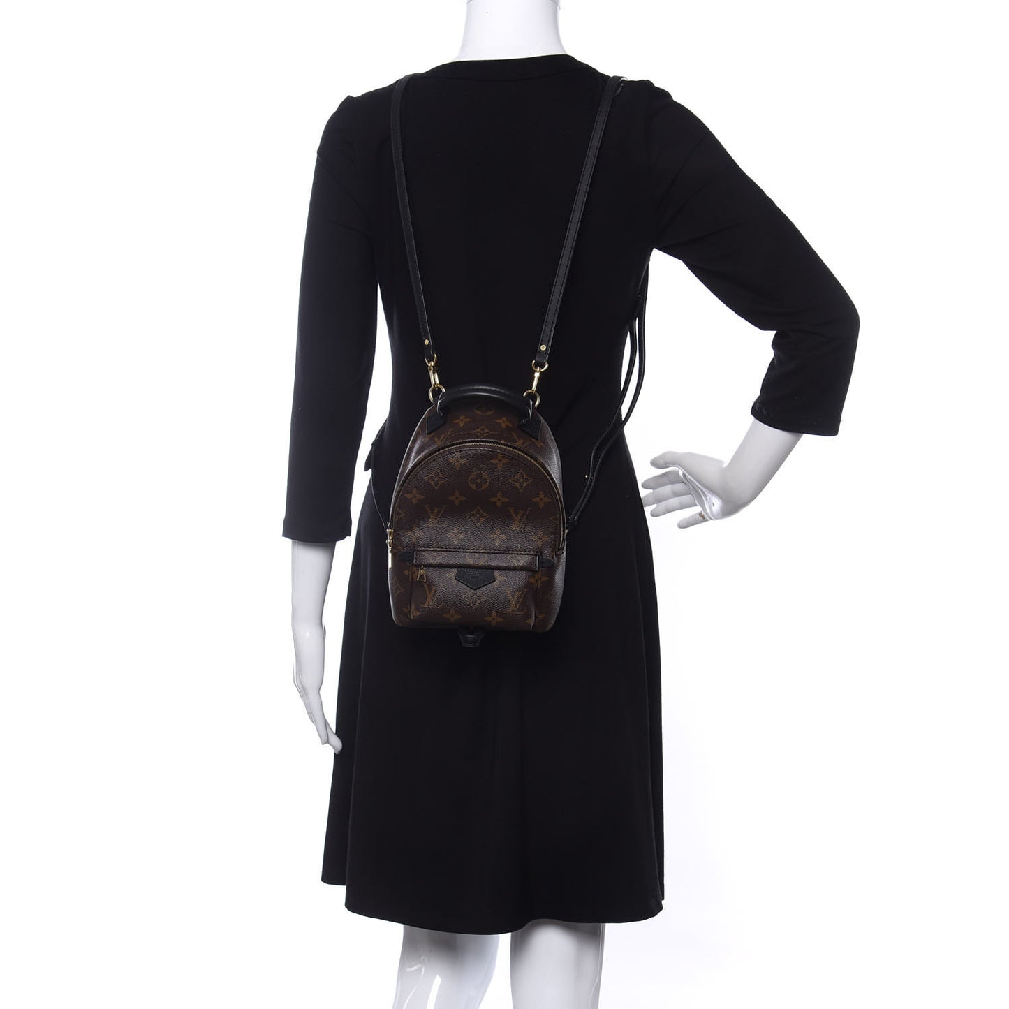 Monogram Palm Springs Backpack Mini