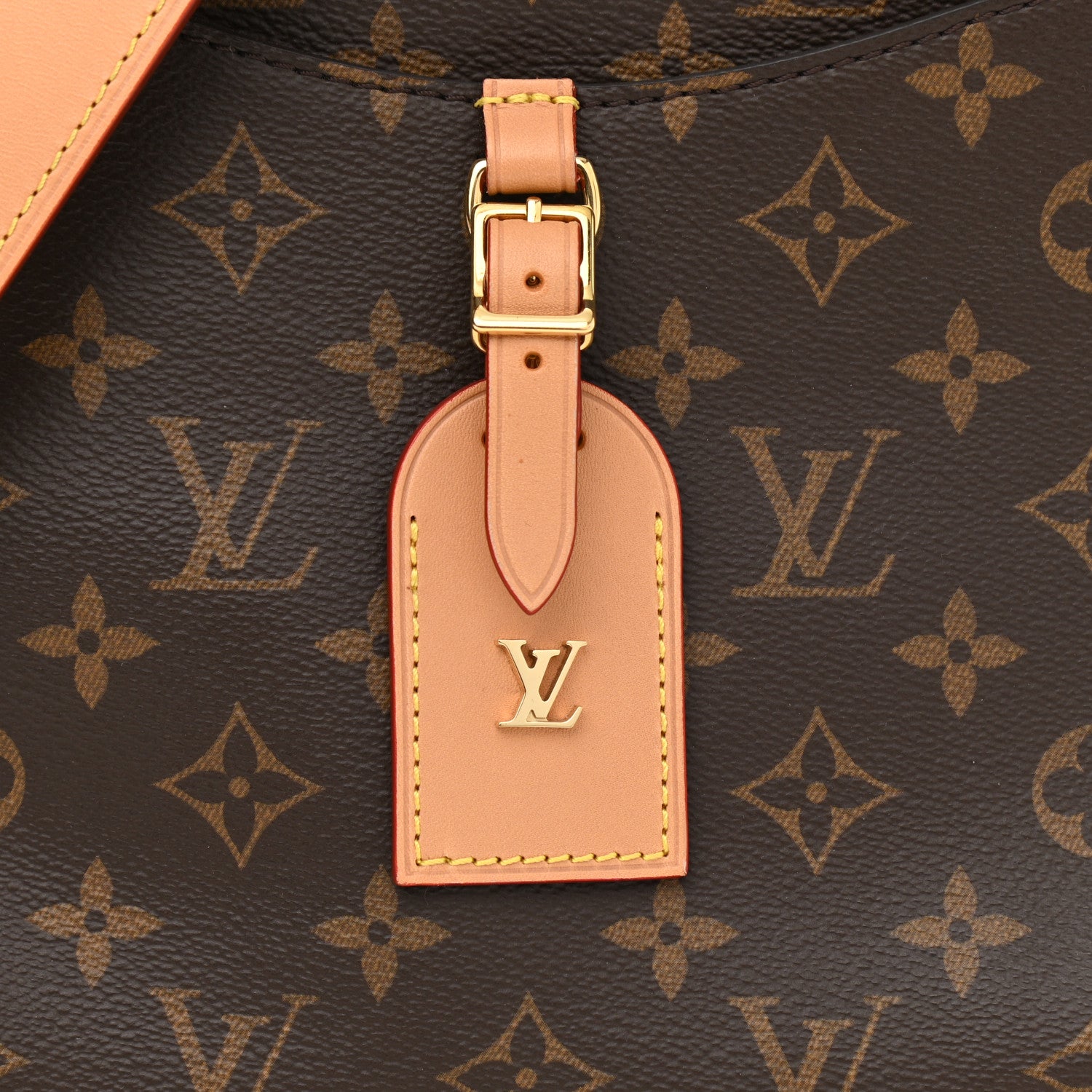 Louis Vuitton Monogram Odeon PM Natural 8 of 10