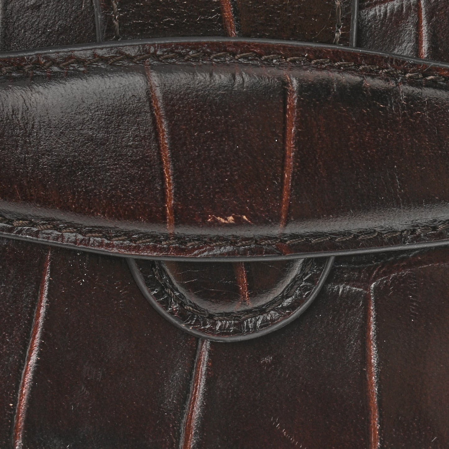 Crocodile Embossed Calfskin Mini Symmetrical Bag Brown