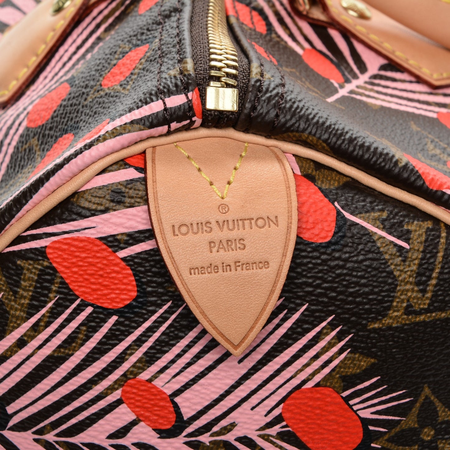 Monogram Jungle Dots Speedy 30 Sugar Pink Poppy