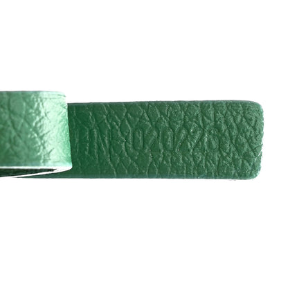 Goyard Goyardine Saint Louis PM Green 9 of 12