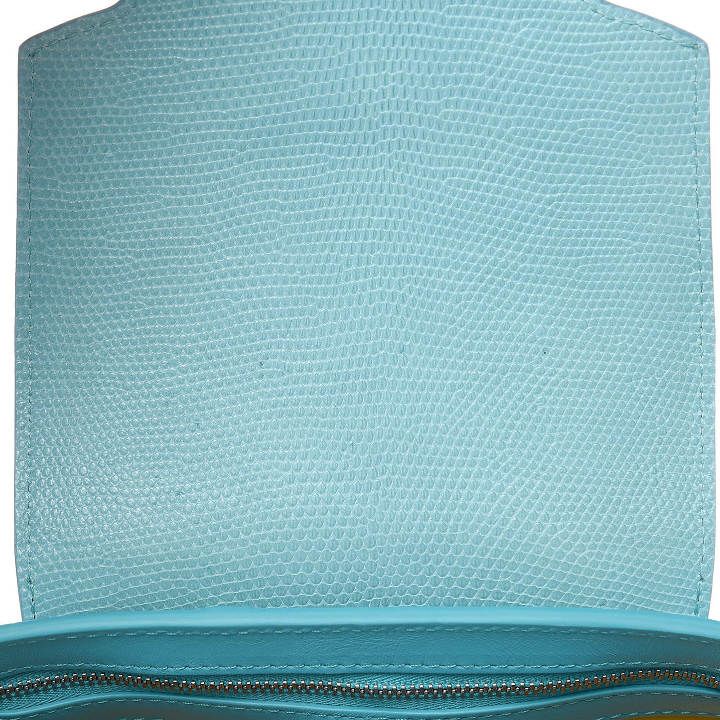 Calfskin Lizard Artycapucines Tschabalala Self PM Multicolor