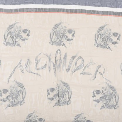 Alexander McQueen Silk Chiffon Skull Print Scarf Multicolor 3 of 6