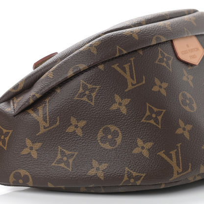 Louis Vuitton Monogram Bumbag 9 of 11