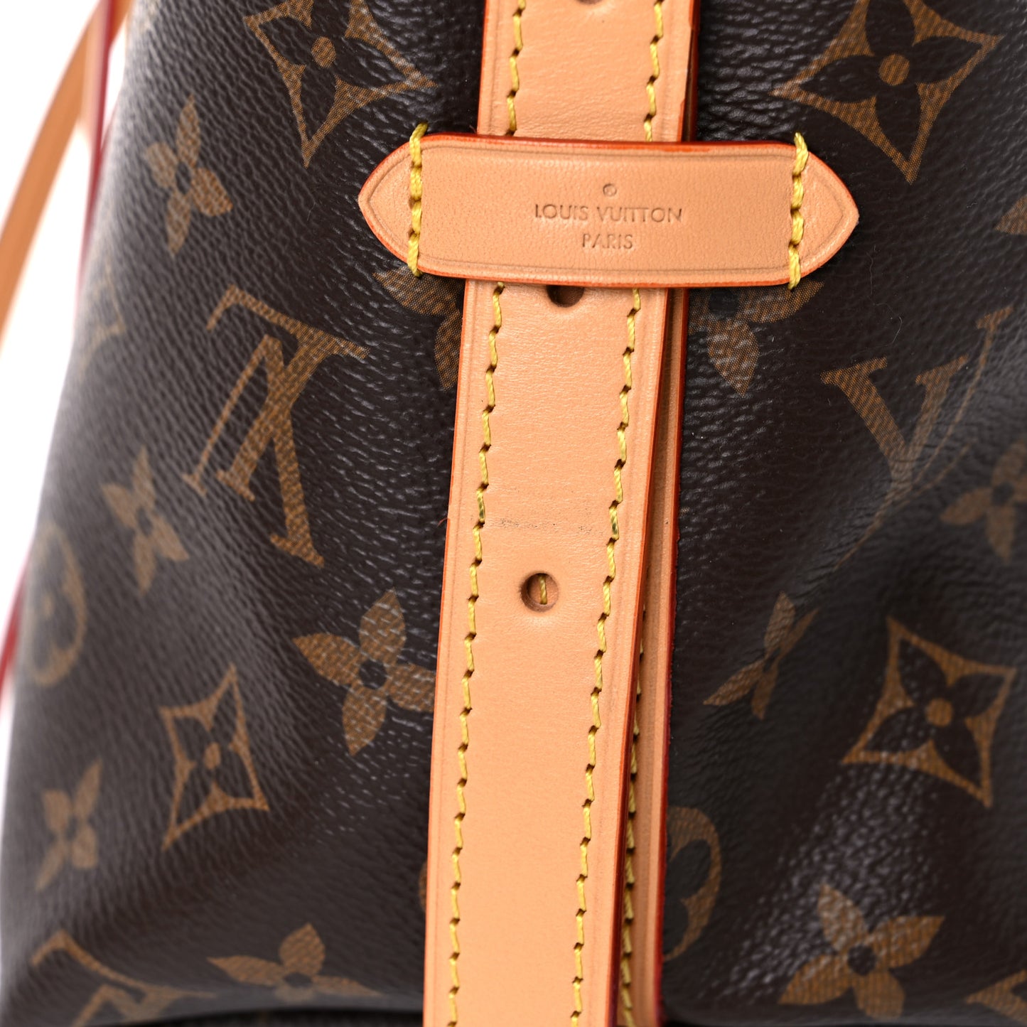 Monogram CarryAll PM
