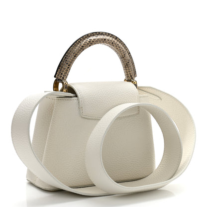 Louis Vuitton Taurillon Ayers Capucines Mini White Snow White 3 of 10