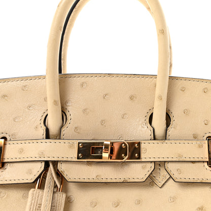 Hermes Ostrich Birkin 25 Parchemin 8 of 11