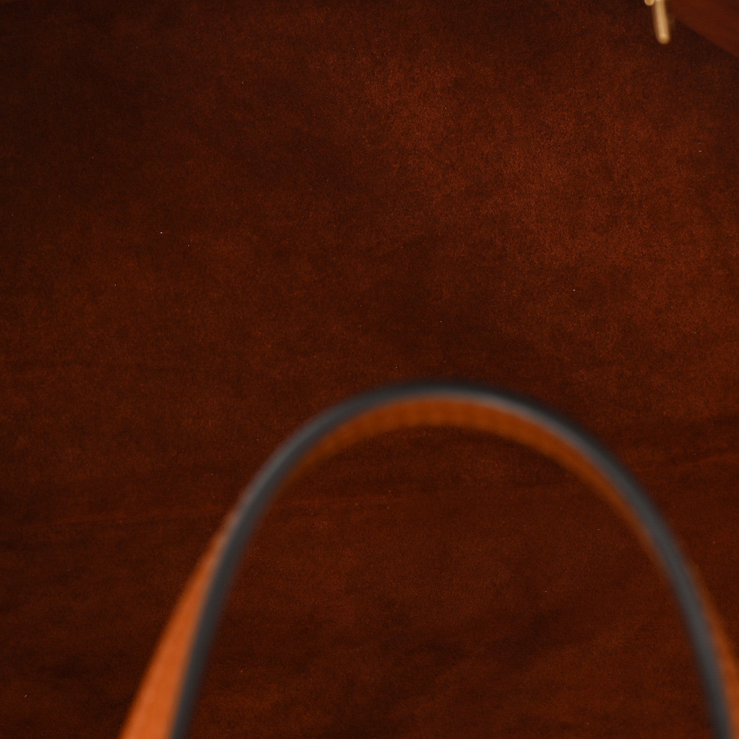 Louis Vuitton Epi Neverfull MM Tan 5 of 9