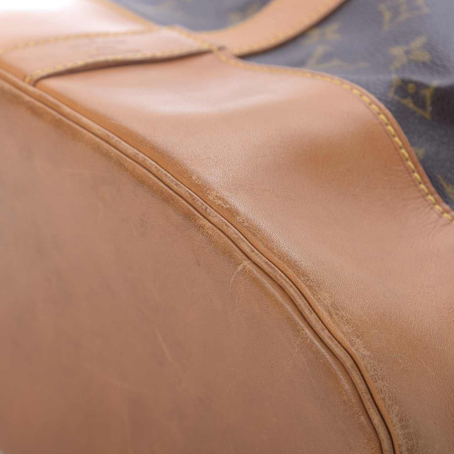 Monogram Randonnee GM Backpack