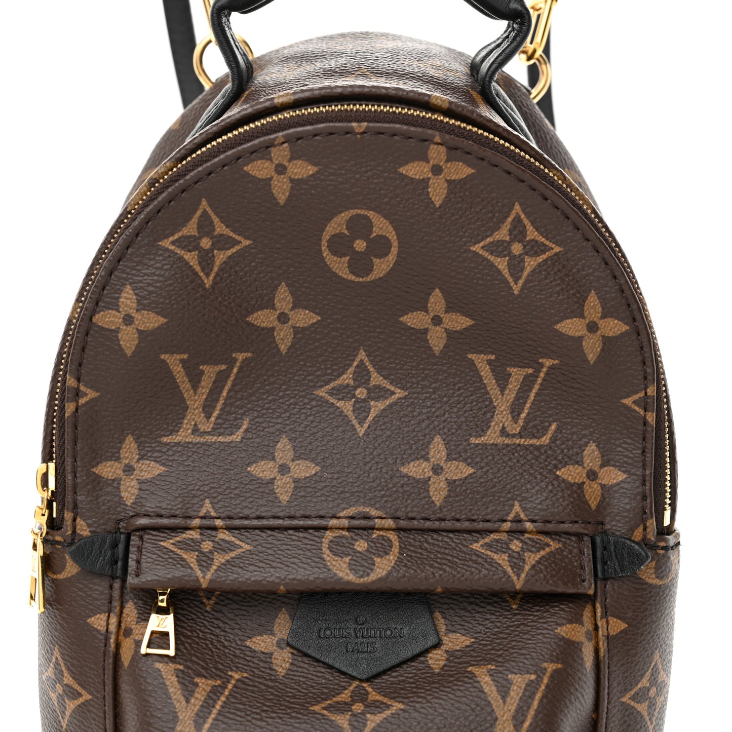 Monogram Palm Springs Backpack Mini