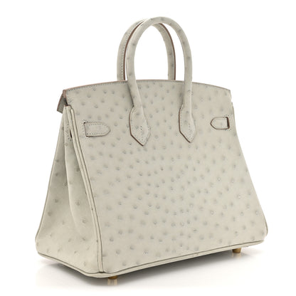 Hermes Ostrich Birkin 25 Gris Perle 3 of 11