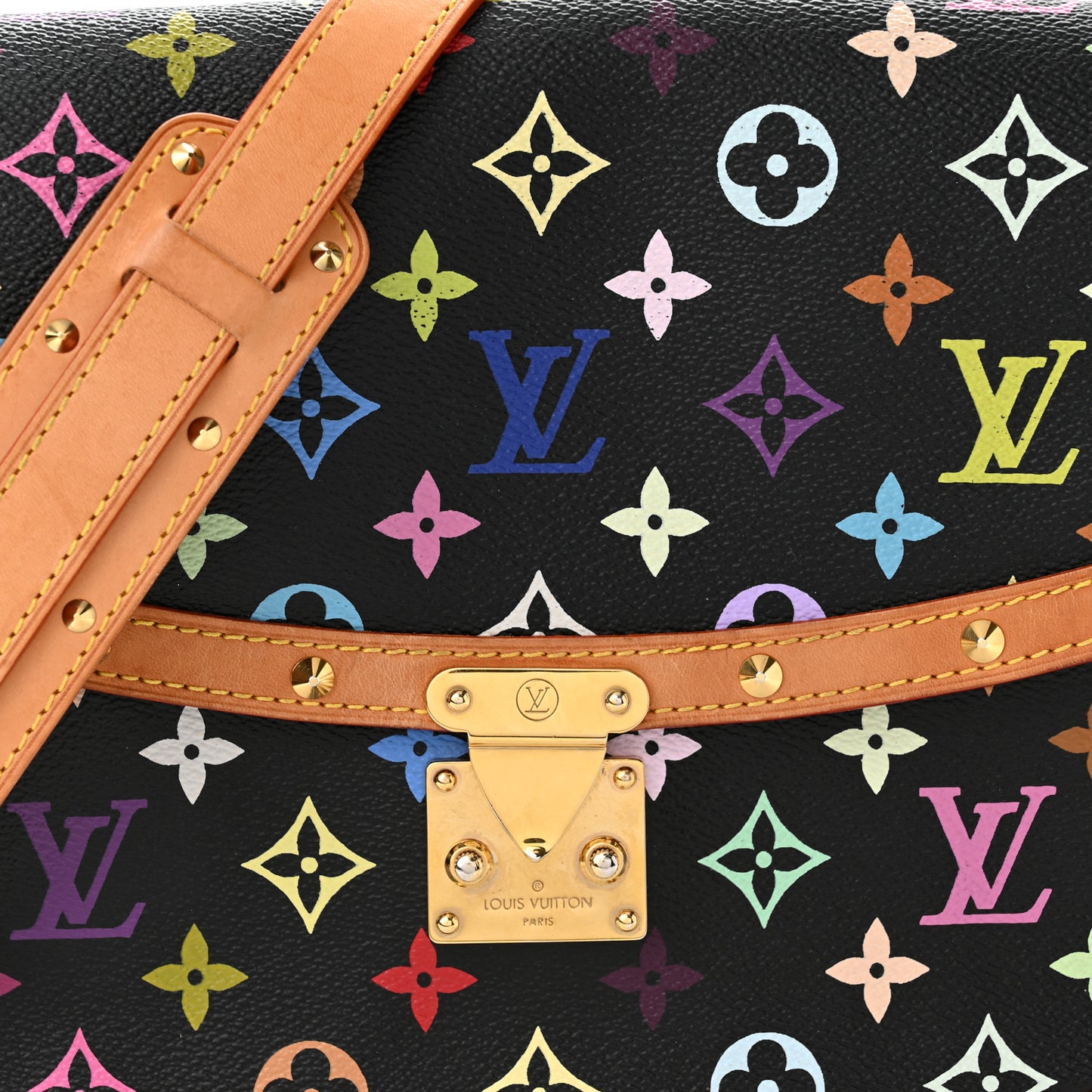 Monogram Multicolor Sologne Black