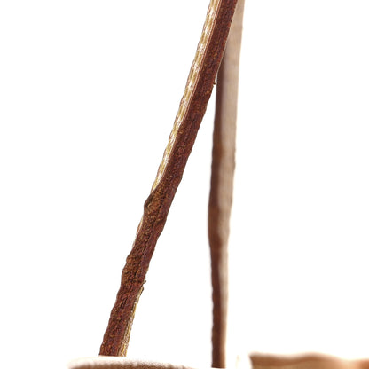 Louis Vuitton Monogram Neo Neverfull GM 13 of 15
