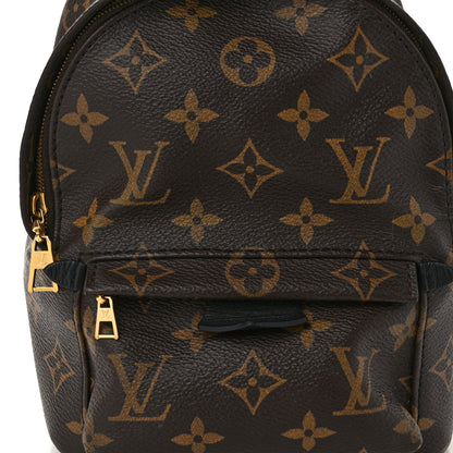 Louis Vuitton Monogram Palm Springs Backpack Mini 6 of 14