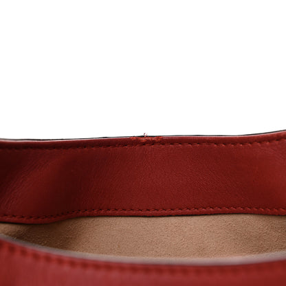 Gucci Calfskin Web Embroidered Medium Dionysus Hobo Hibiscus Red 14 of 17
