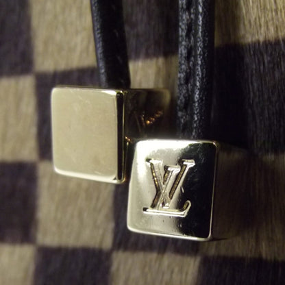 Louis Vuitton Damier Sauvage Lionne 8 of 11