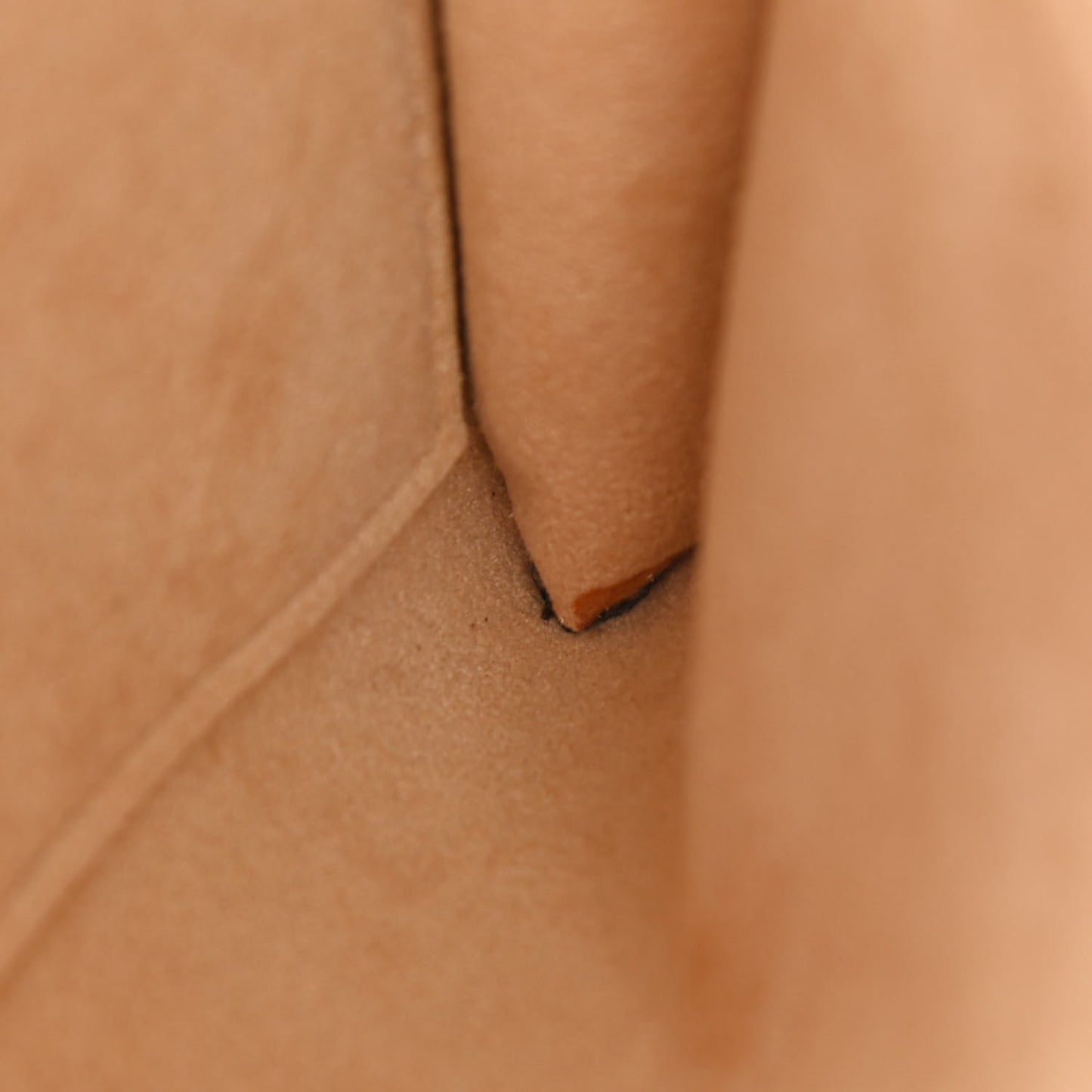 Monogram Pochette Twin GM