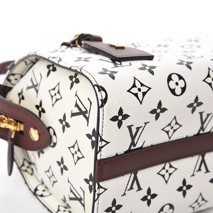 Louis Vuitton Monogram Speedy Amazon PM White Chocolat 8 of 14