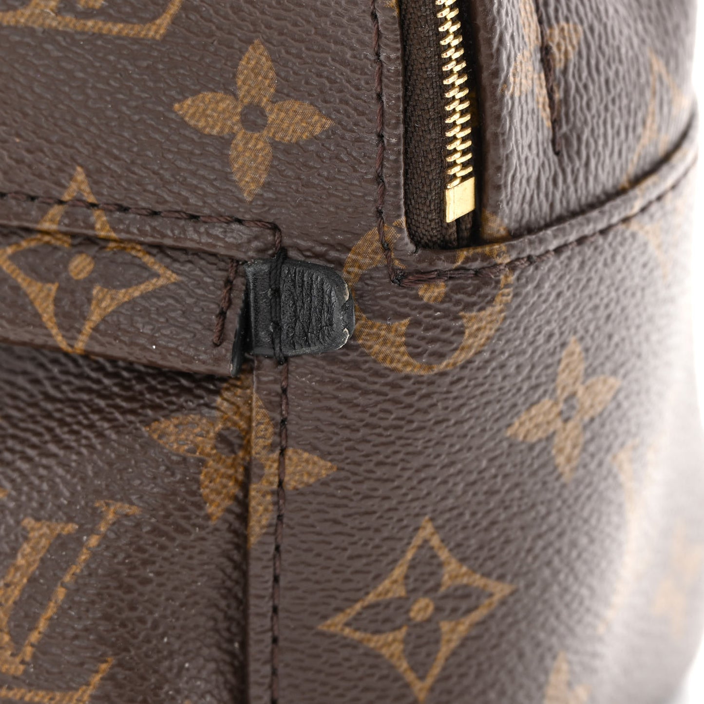 Monogram Palm Springs Backpack Mini