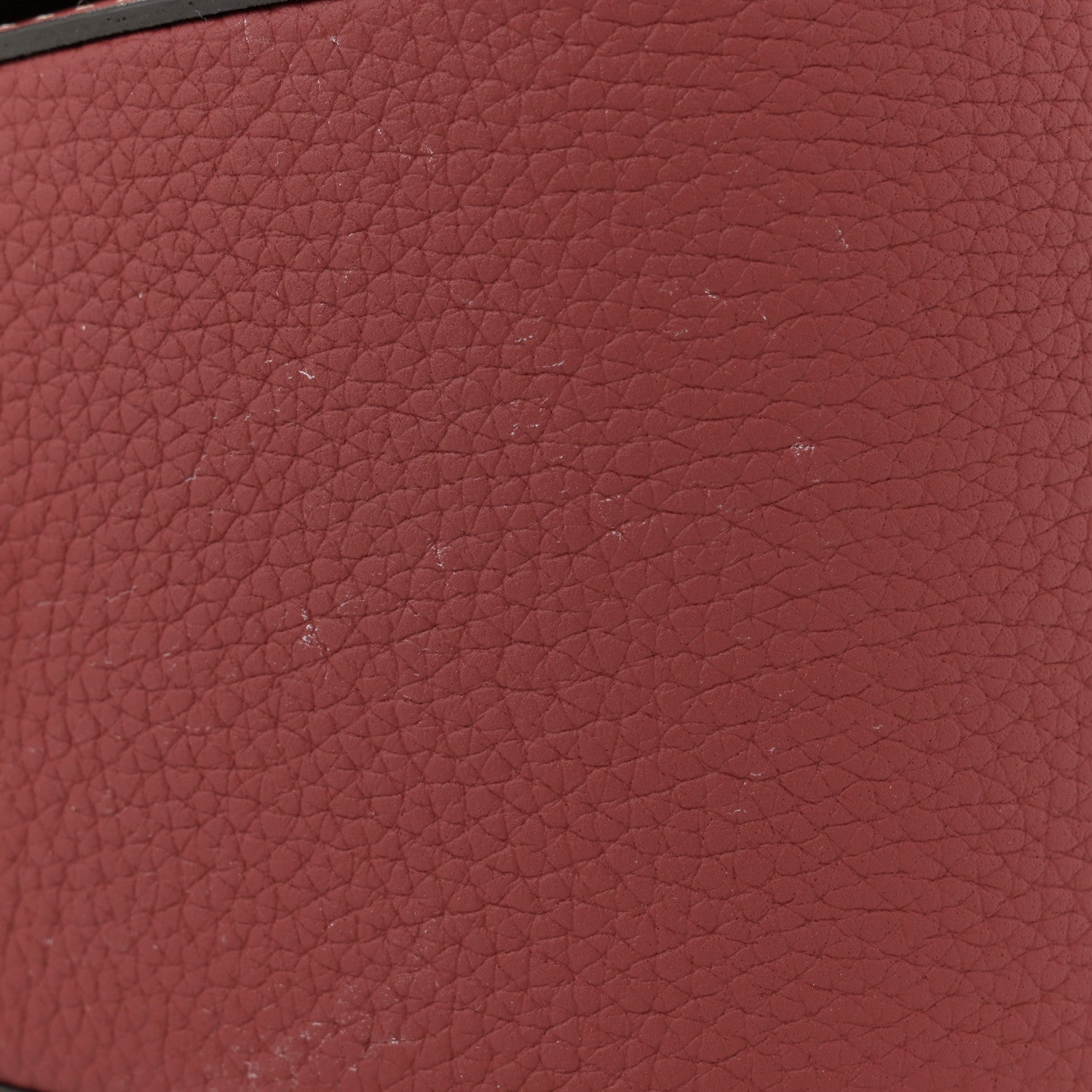 Moynat Taurillon Blush Flori PM Atlas 13 of 13