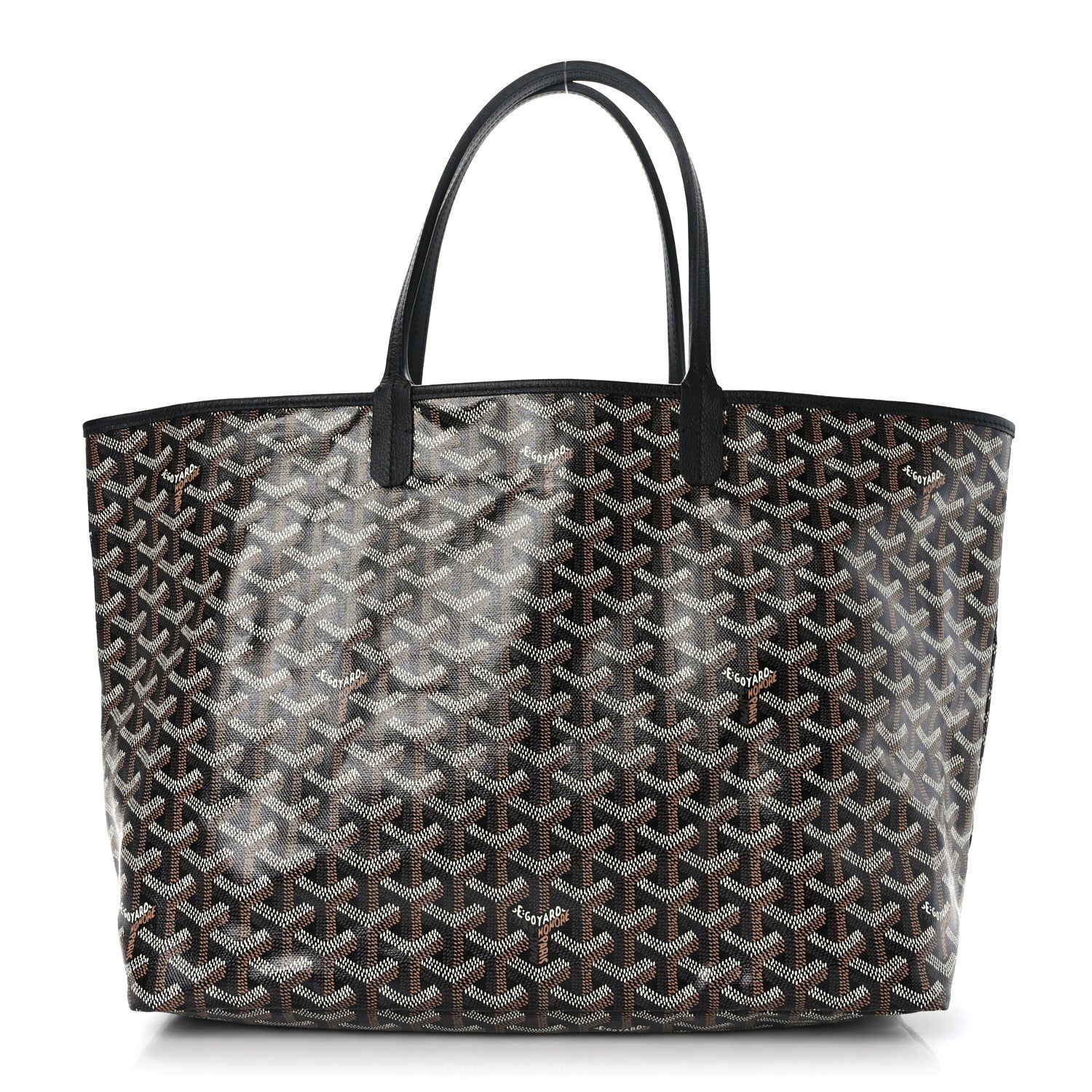 Goyard Goyardine Saint Louis PM Black 3 of 9