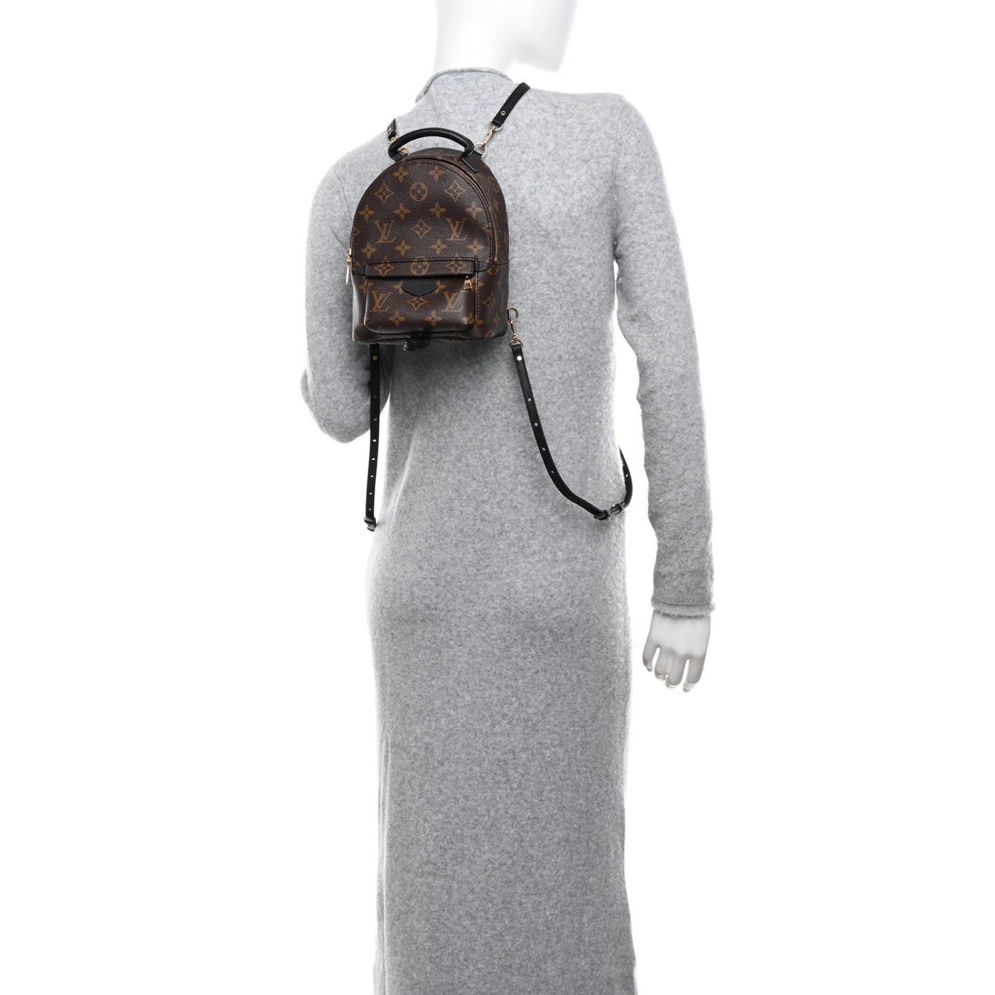 Monogram Palm Springs Backpack Mini