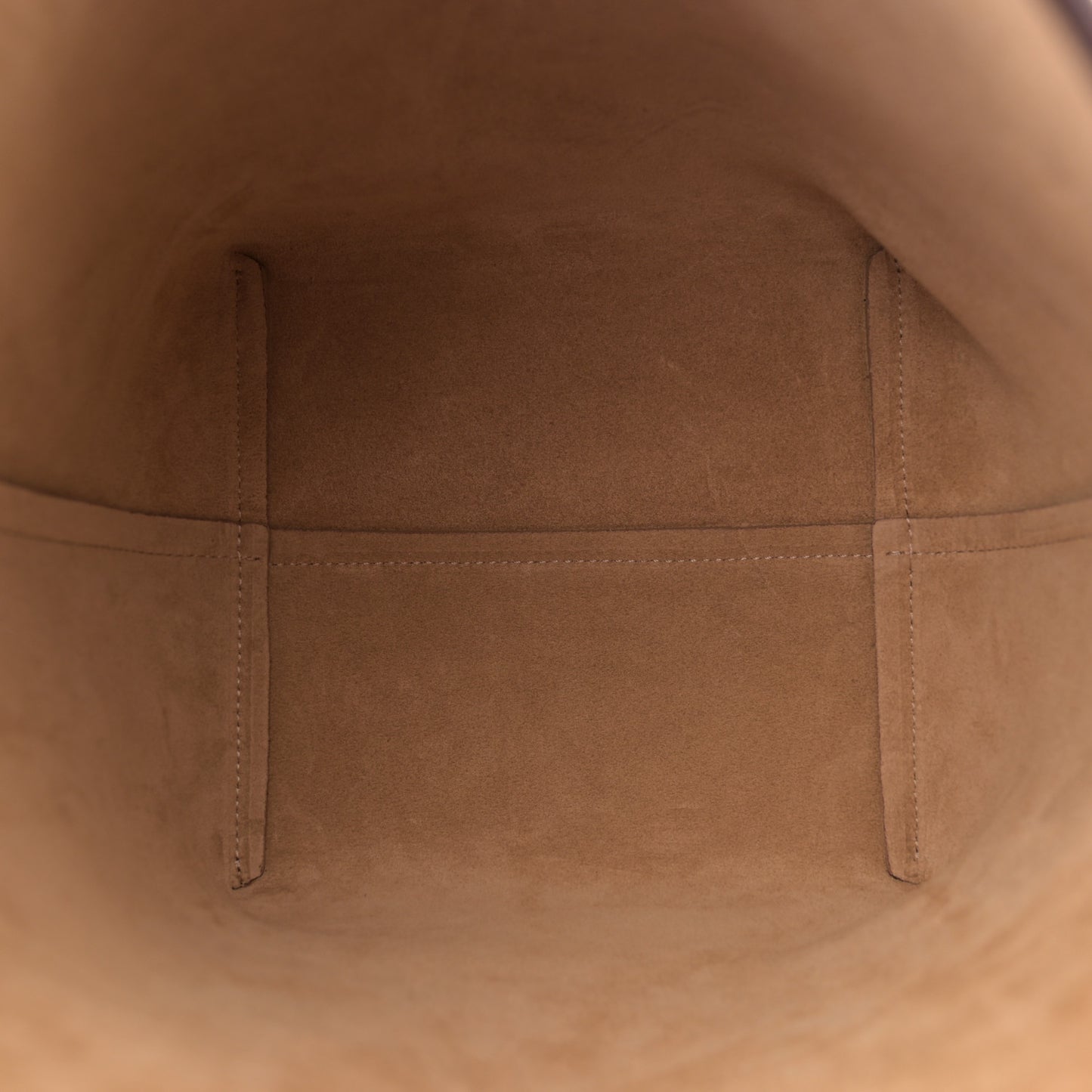 Grained Calfskin Medium N/S Park Tote Acajou