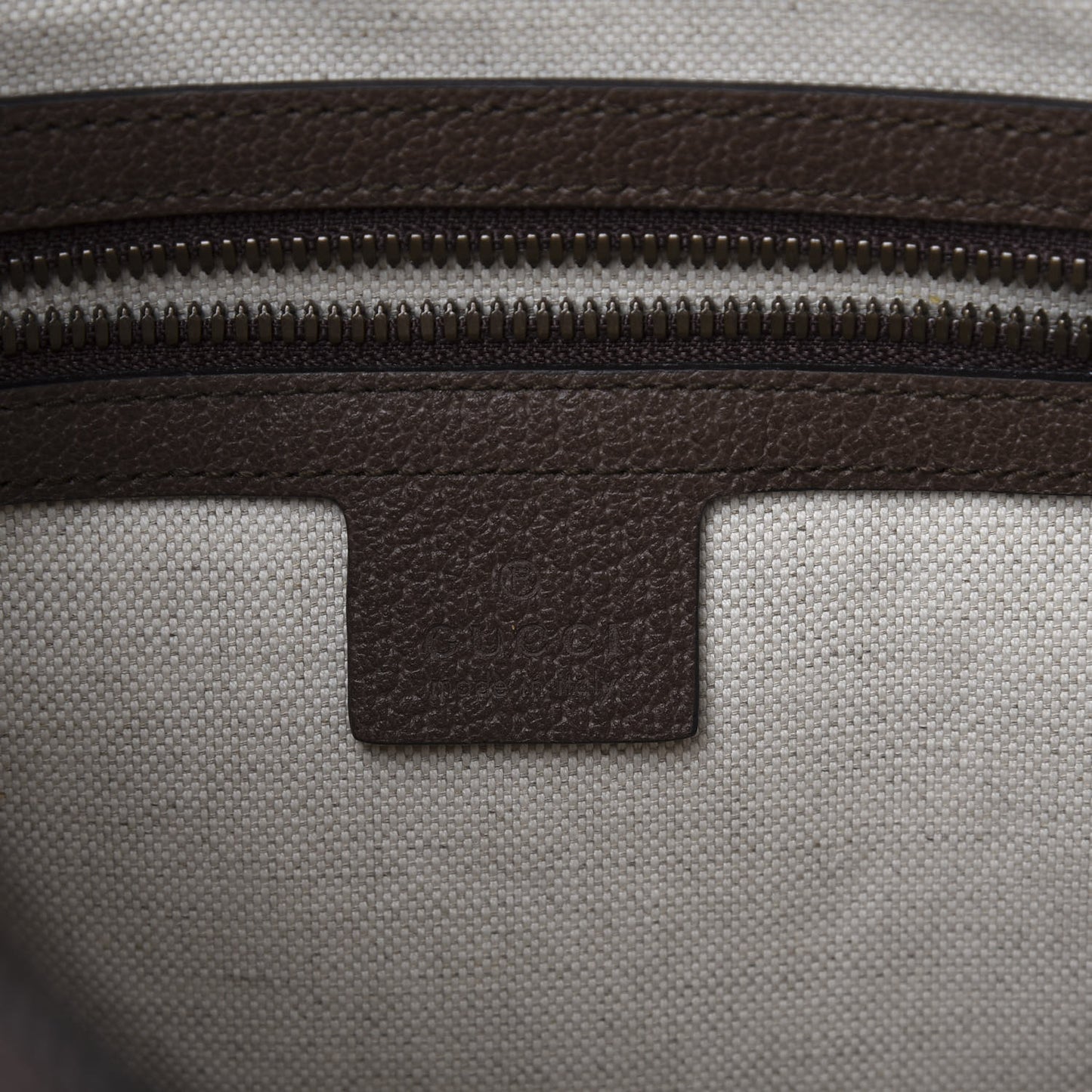 GG Supreme Monogram Web Small Ophidia Half Moon Hobo Brown