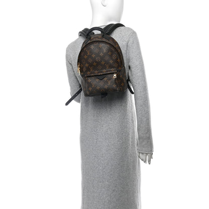 Louis Vuitton Monogram Palm Springs Backpack PM 2 of 10