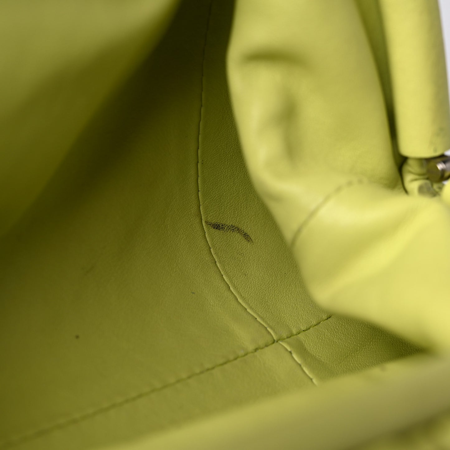 Butter Calfskin The Mini Pouch Kiwi