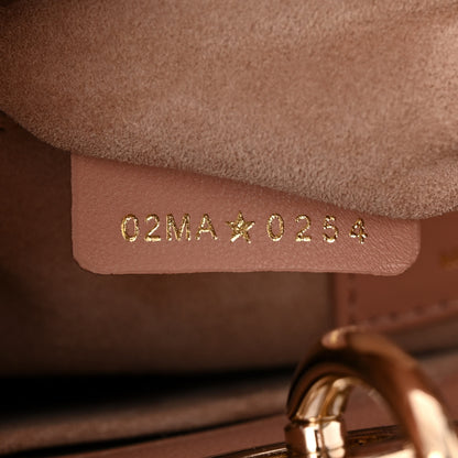 Christian Dior Lambskin Cannage Dragonfly Studs Small Lady Dior Rose Des Vents 7 of 10