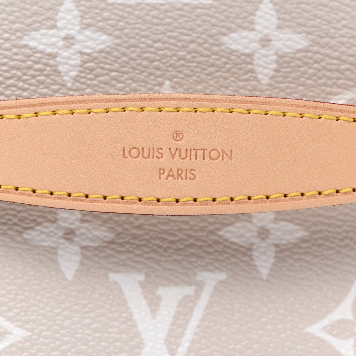 Louis Vuitton Monogram Giant By The Pool Nice BB Brume 6 of 7