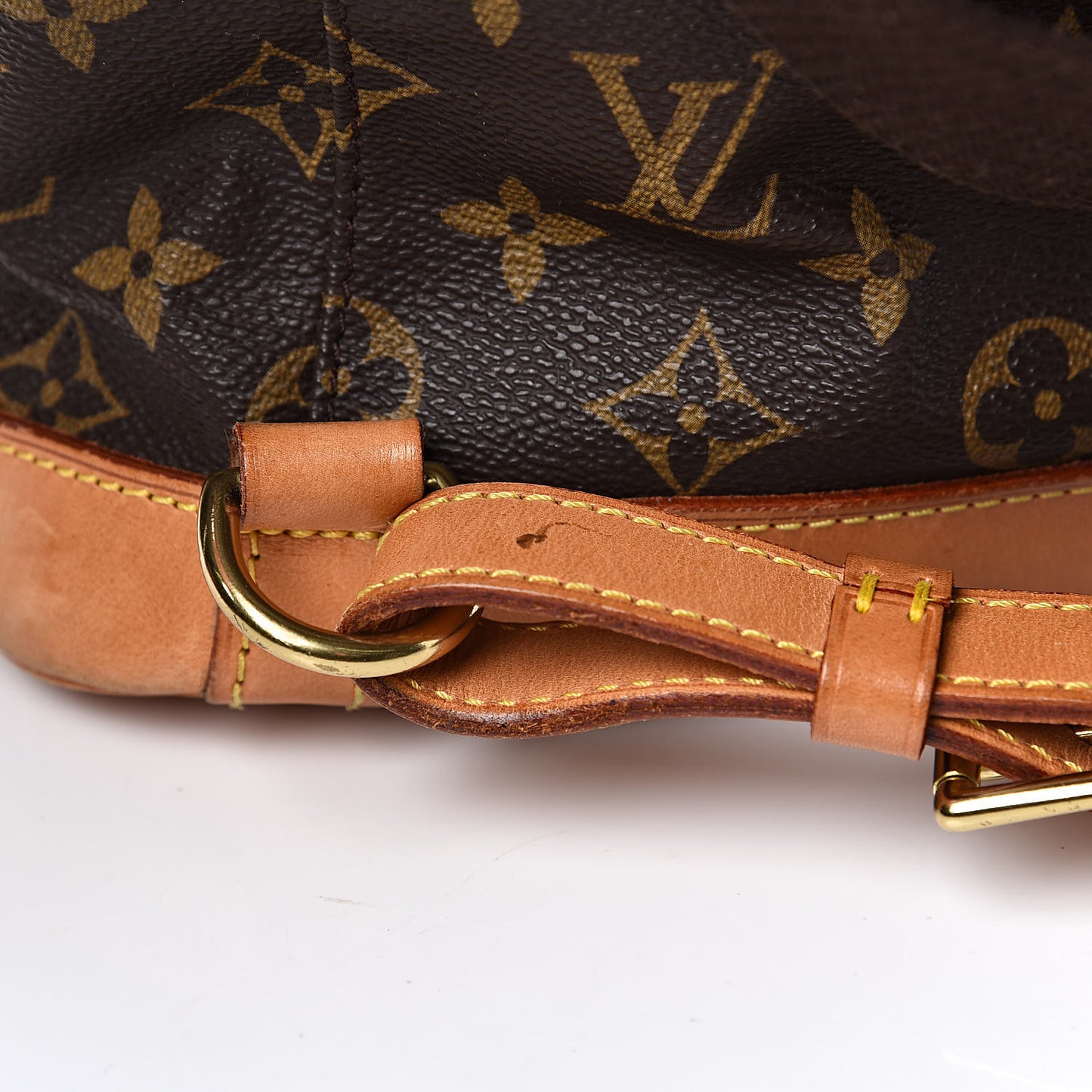 Monogram Montsouris GM Backpack