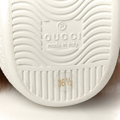 Gucci Calfskin Wool Web Bee Embroidered Womens Ace Sneakers 36.5 White 9 of 12