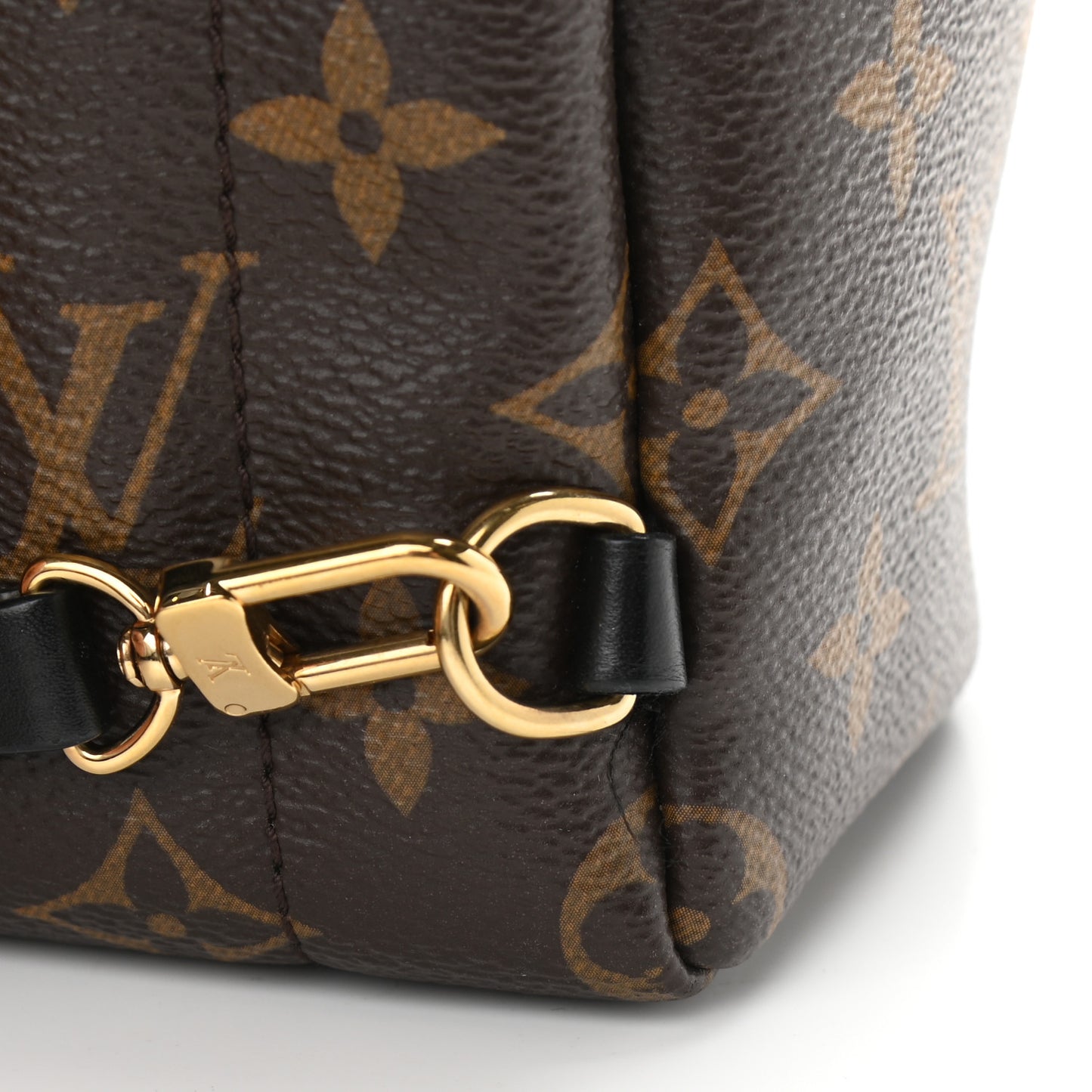 Monogram Palm Springs Backpack Mini