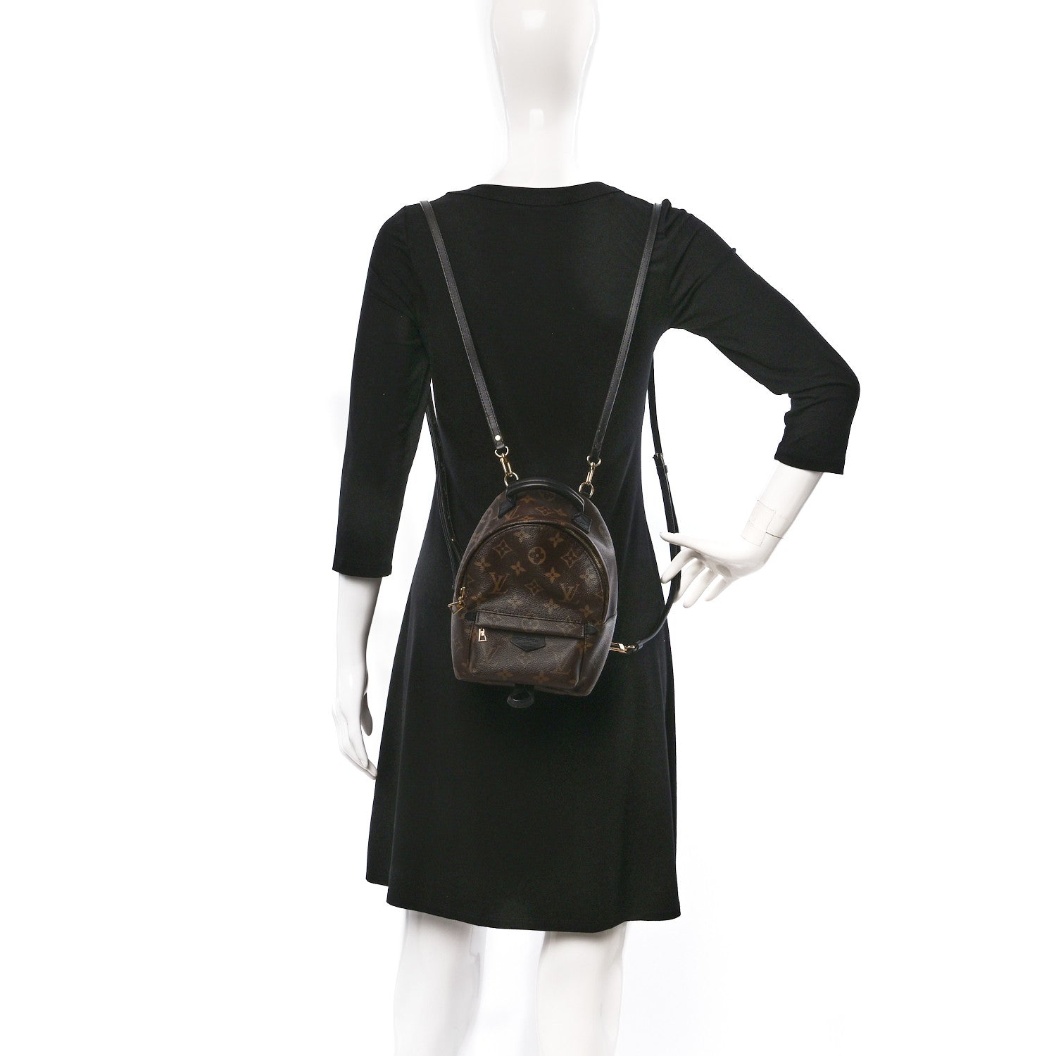 Louis Vuitton Monogram Palm Springs Backpack Mini 2 of 10