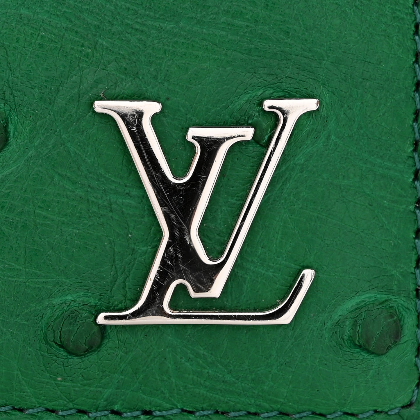 Ostrich Pocket Organizer Vert