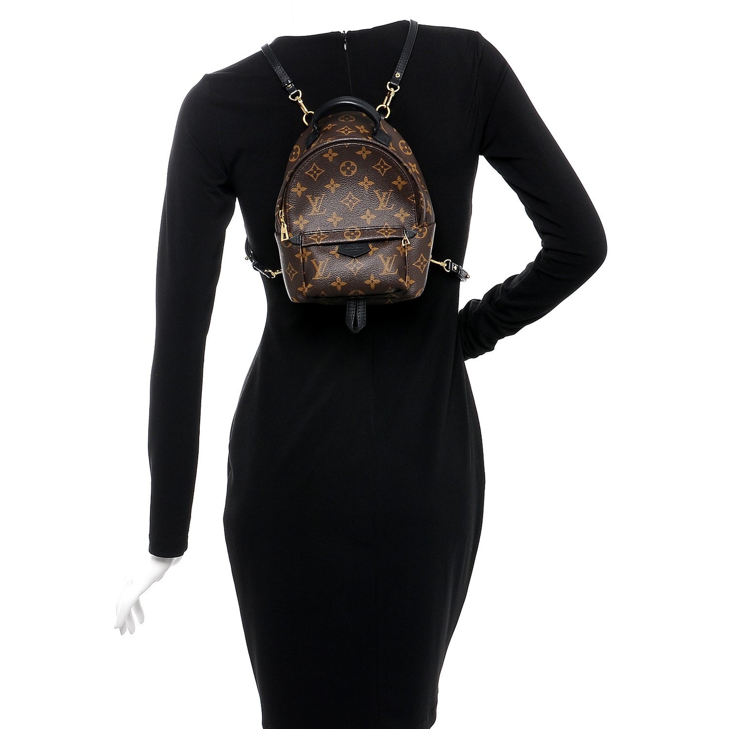 Monogram Palm Springs Backpack Mini