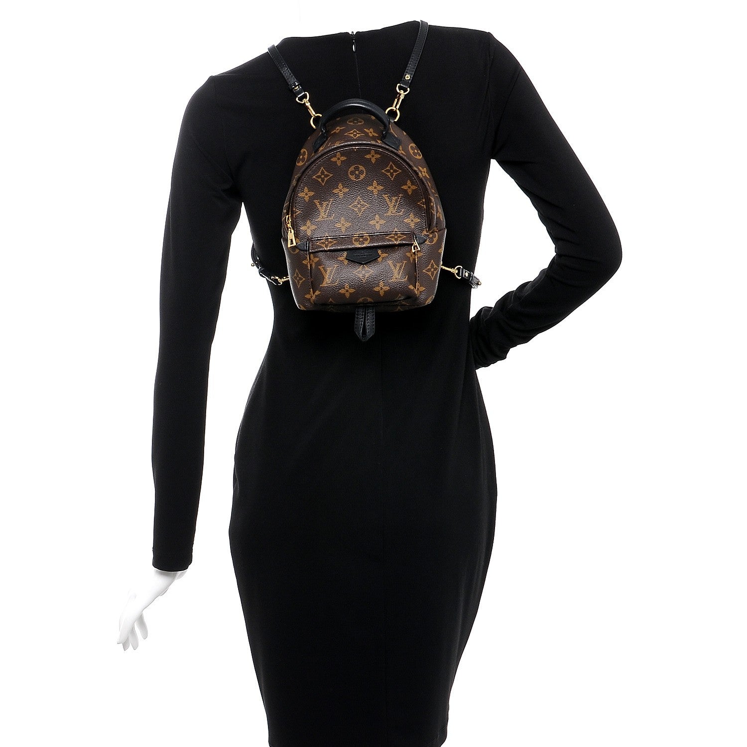 Louis Vuitton Monogram Palm Springs Backpack Mini 2 of 8