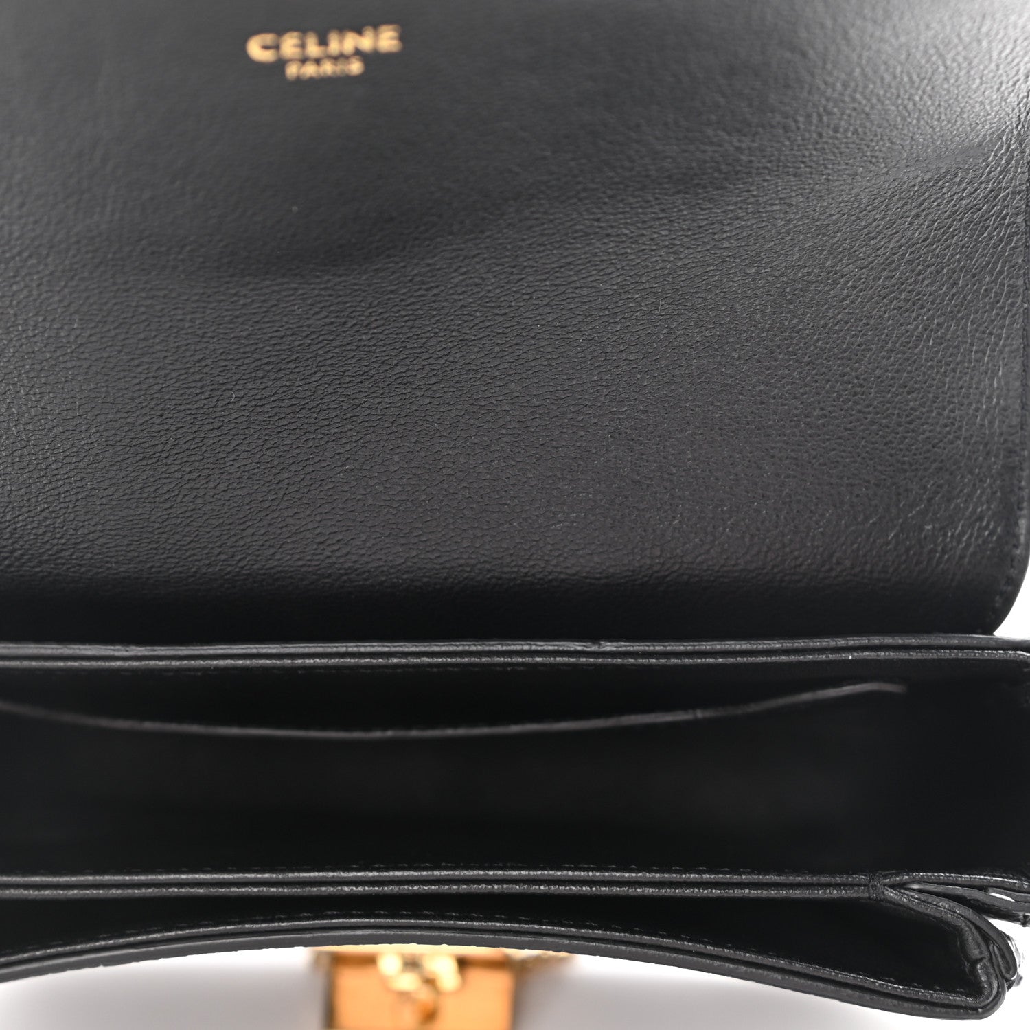 Celine Lizard Small Pampille C Bag Black 6 of 11
