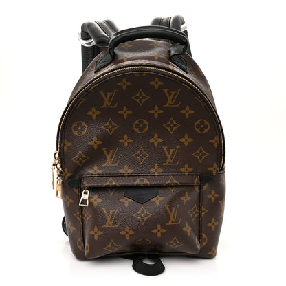 Louis Vuitton Monogram Palm Springs Backpack PM 1 of 10