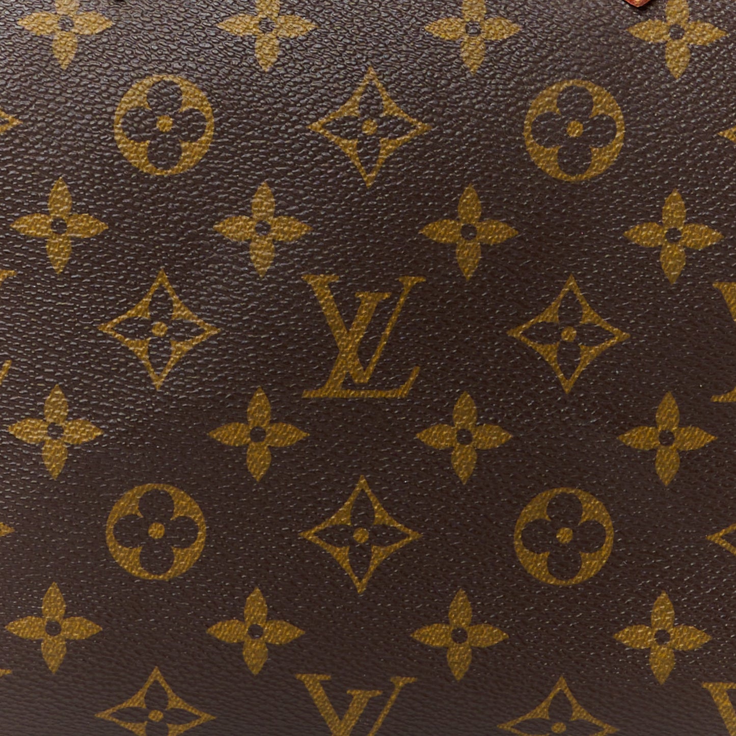 LOUIS VUITTON Monogram Speedy 25
