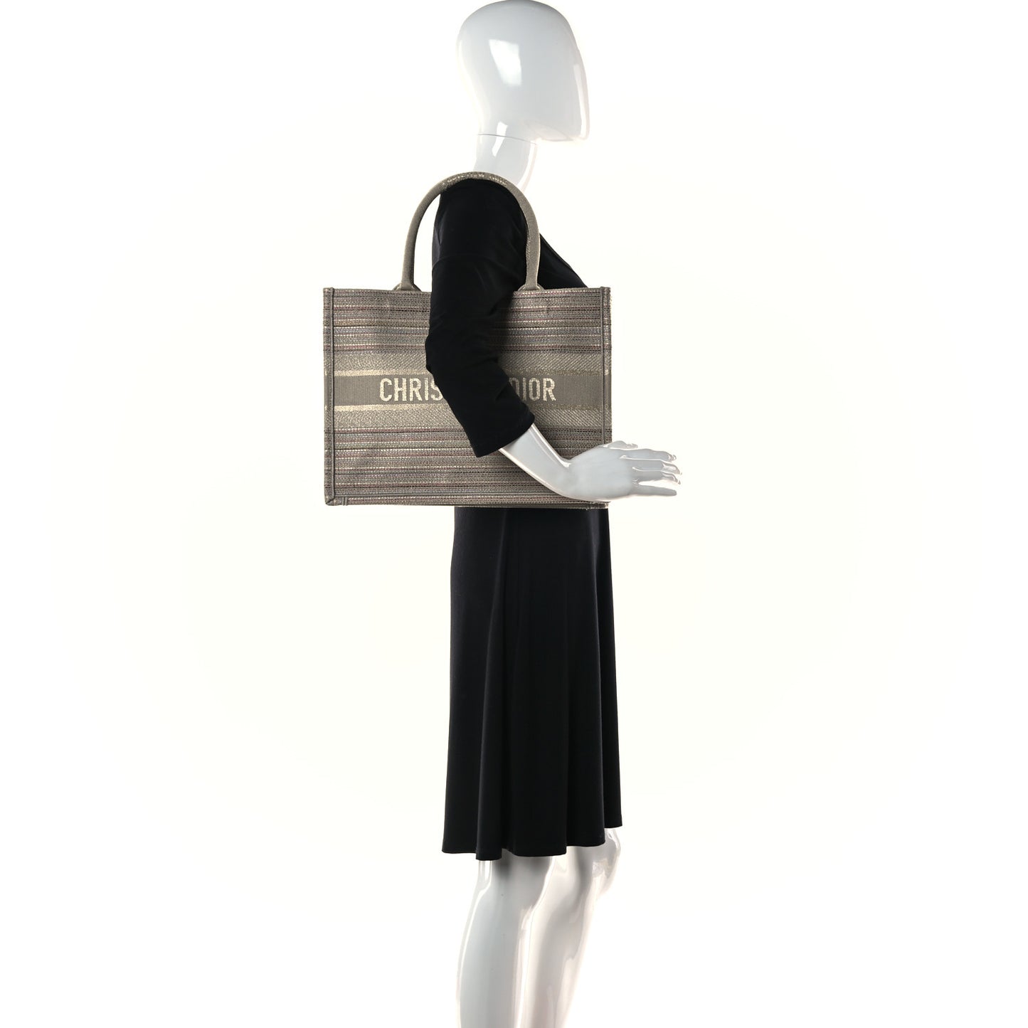 Canvas Embroidered Medium Stripes Book Tote Beige Multicolor