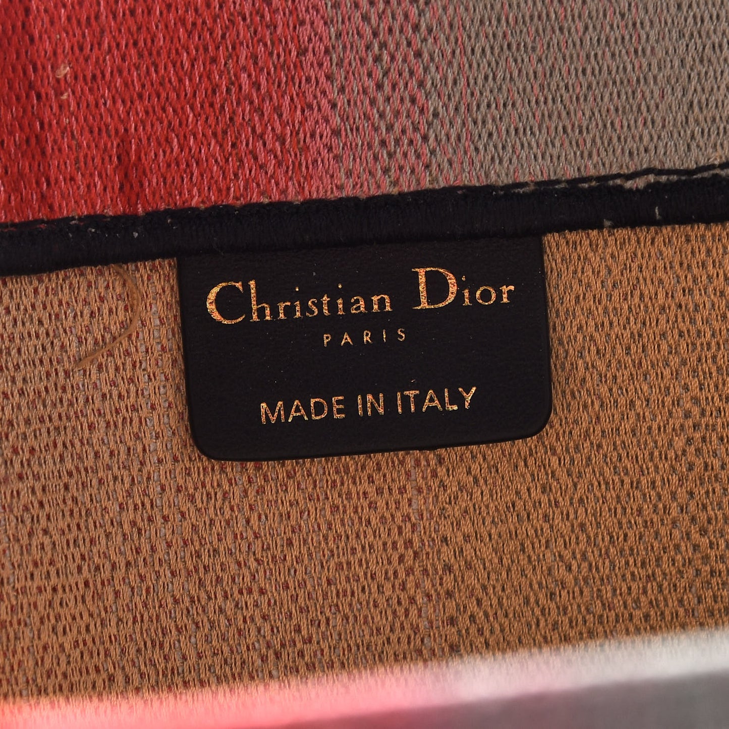 Canvas Embroidered Medium Dioraura Book Tote Multicolor