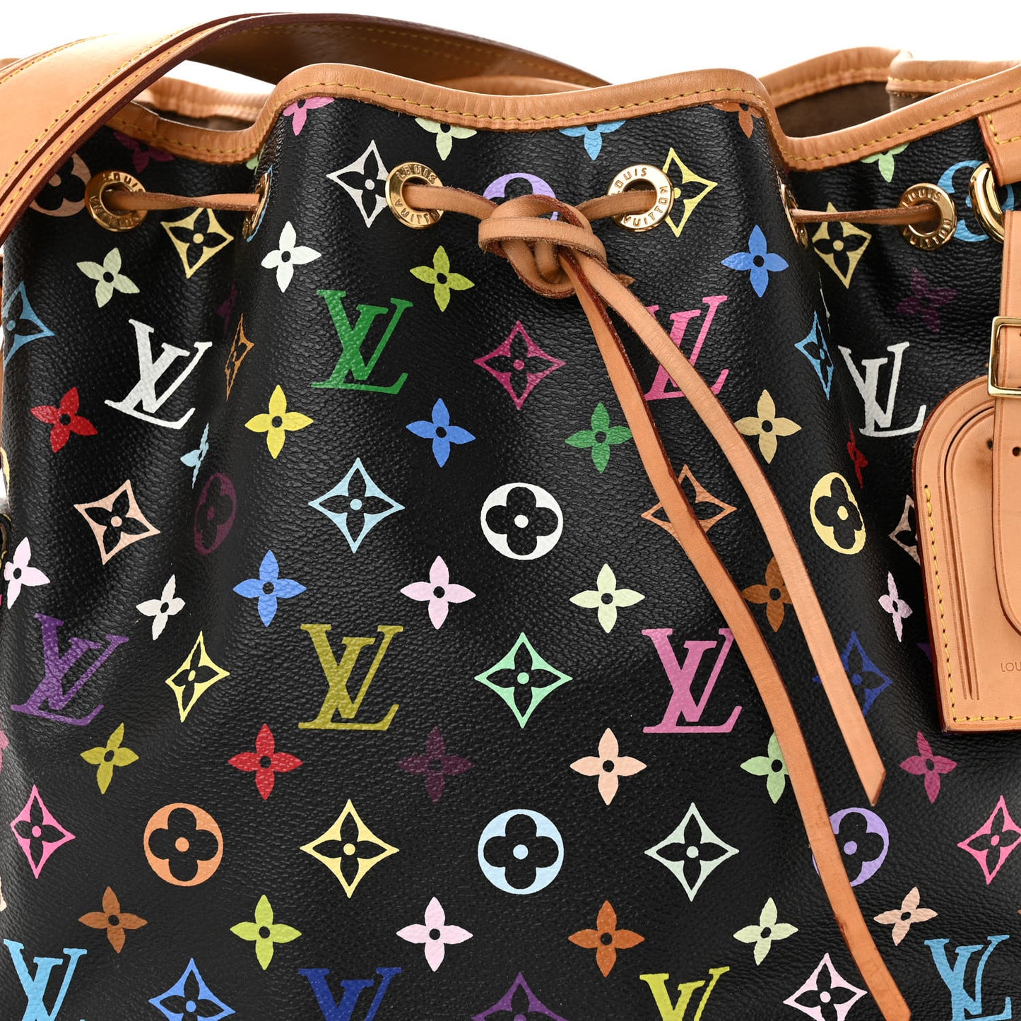 Monogram Multicolor Petit Noe Black