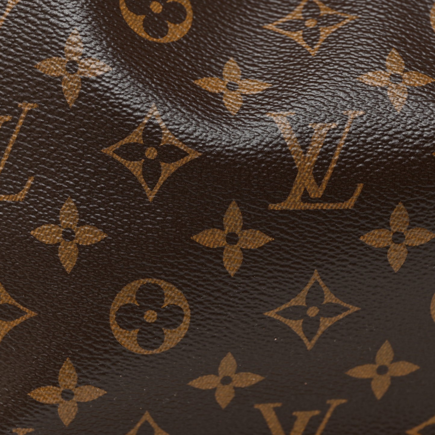 Monogram Petit Noe NM