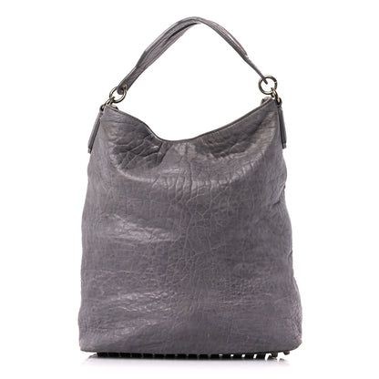 Alexander Wang Pebbled Lambskin Darcy Hobo Pale Gold Hardware 1 of 26