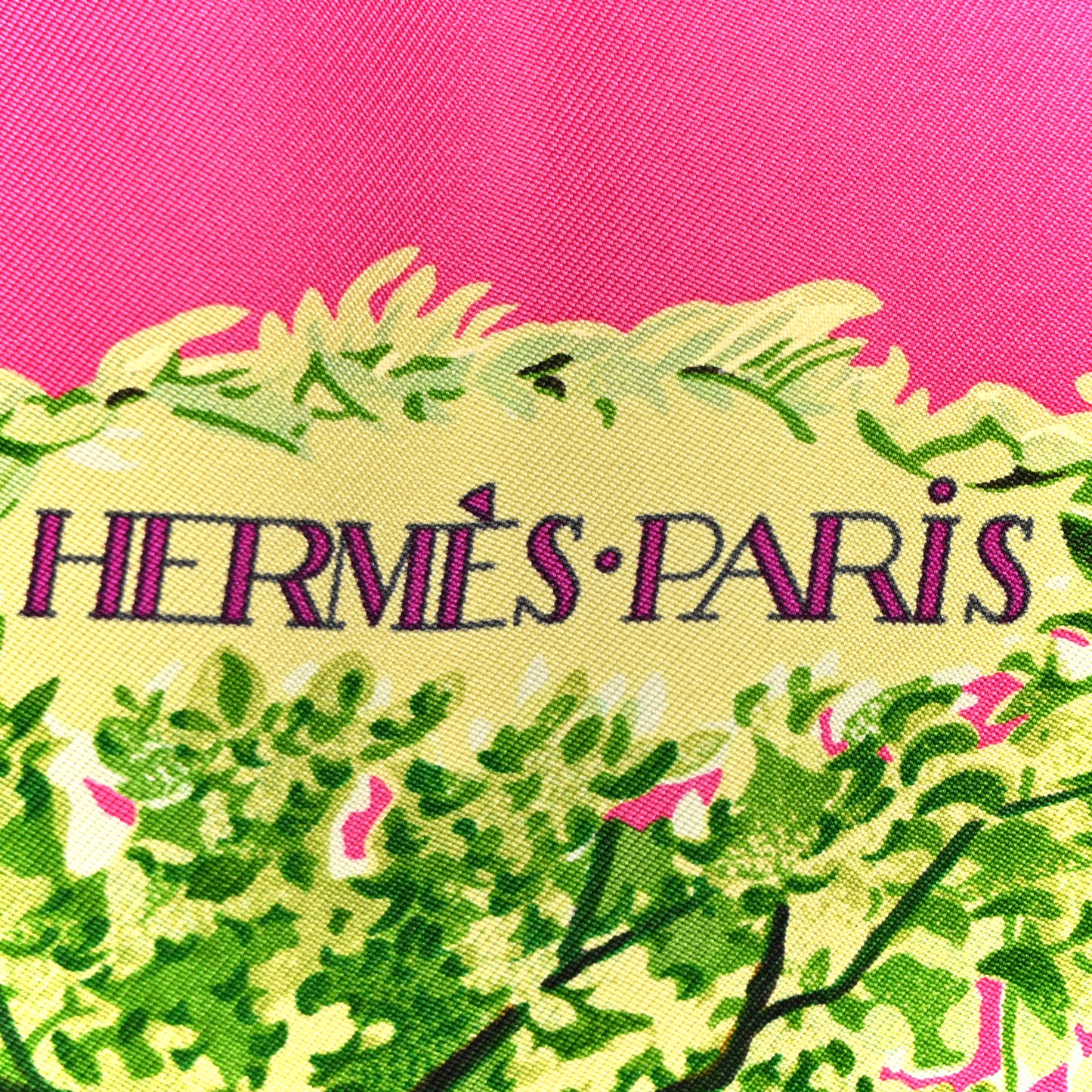 Silk Equateur Scarf 90  Rose Vif Vert Jaune